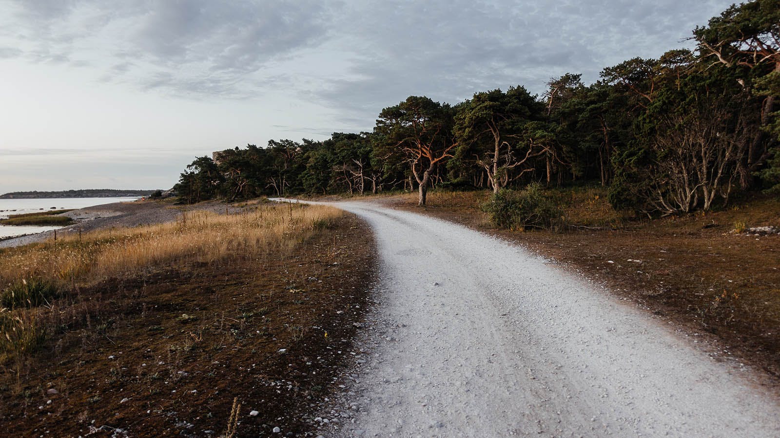 Upptäck Sveriges vackraste vägar och bästa rastplatser